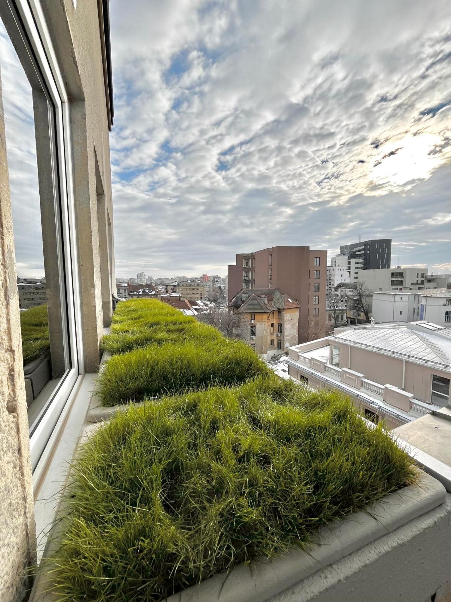 Terrace View Downtown Studio Bucureşti Ngoại thất bức ảnh