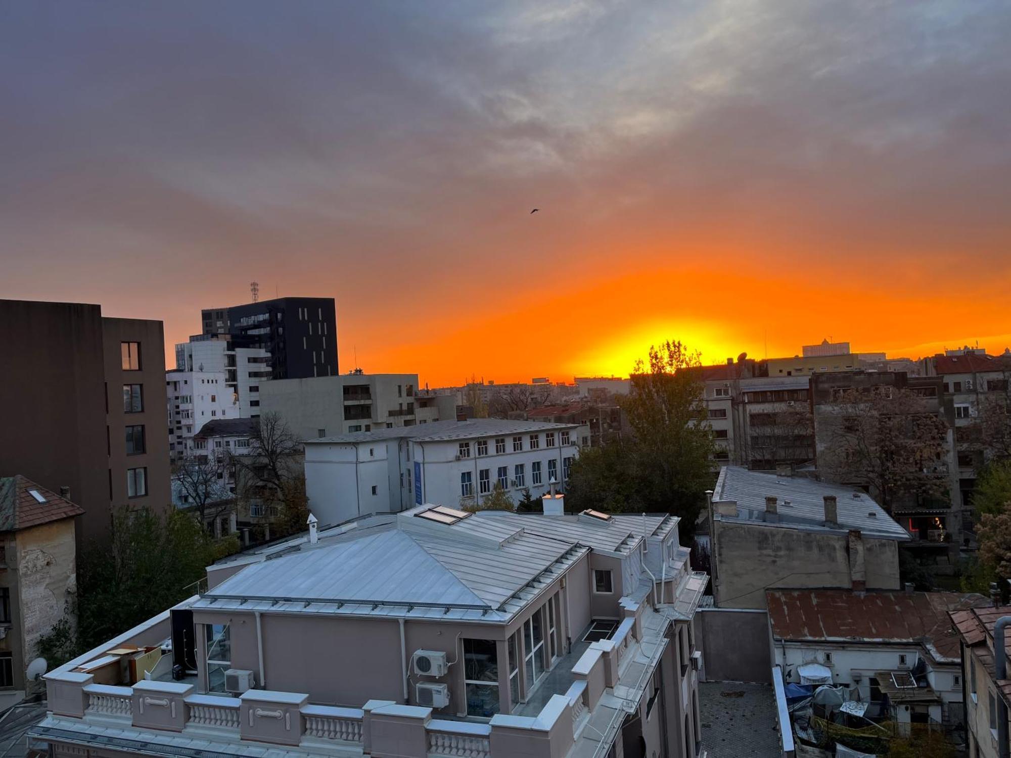 Terrace View Downtown Studio Bucureşti Ngoại thất bức ảnh